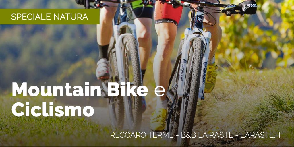 Mountain Bike MTB & Ciclismo