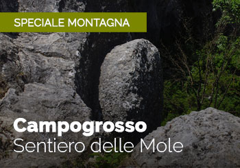 Campogrosso: Il sentiero delle Mole