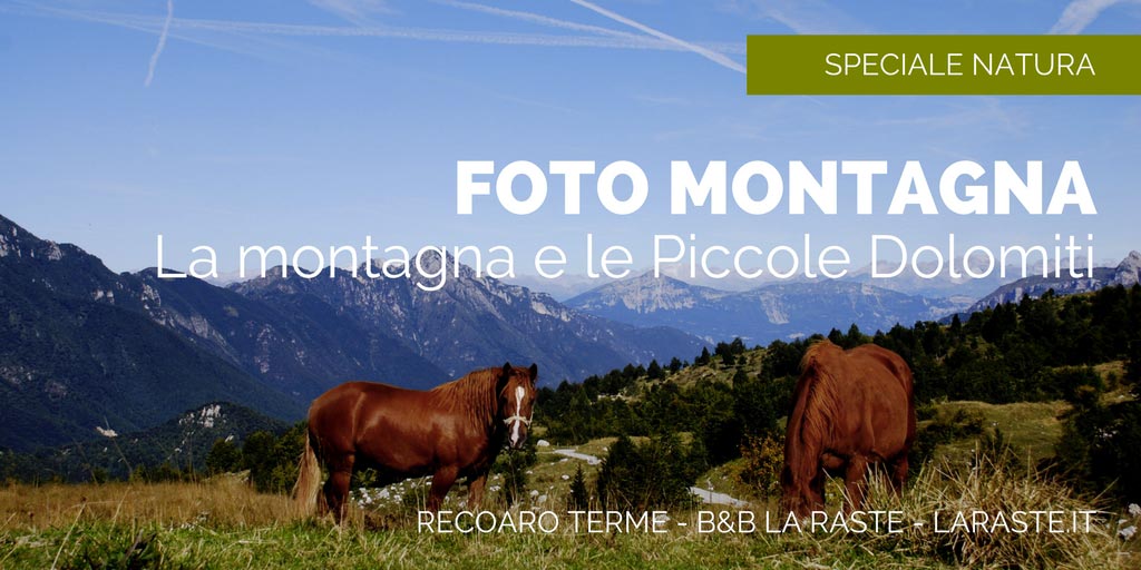 Piccole Dolomiti: montagna, paesaggi, natura e sport