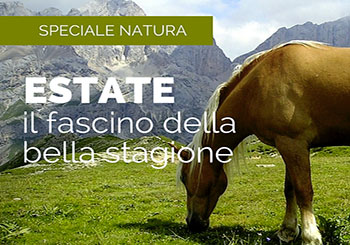 Il fascino di Recoaro Terme d'estate