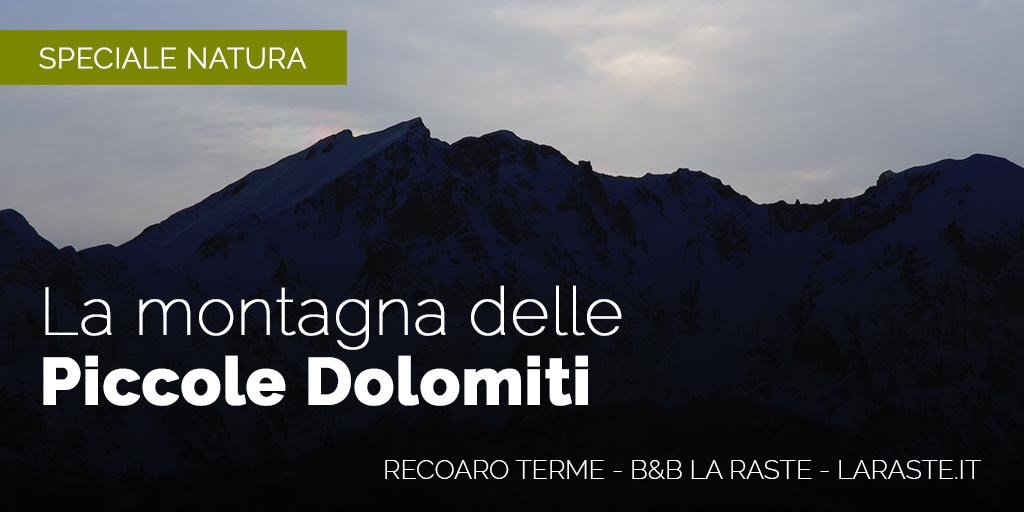 La montagna: Le Piccole Dolomiti Vicentine