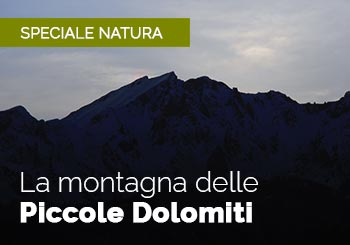 La montagna: Le Piccole Dolomiti Vicentine