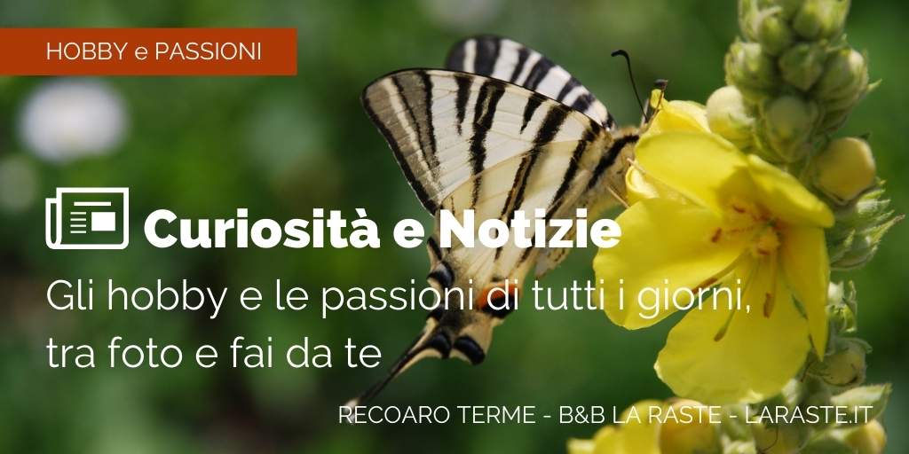 Curiosità e Notizie: gli hobby e le passioni di tutti i giorni, tra foto e fai da te